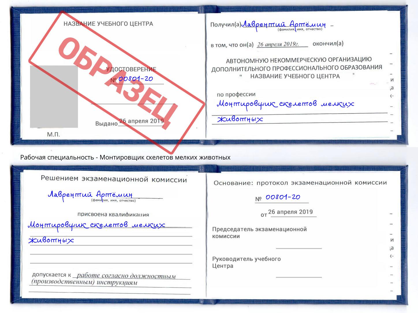 Монтировщик скелетов мелких животных Феодосия