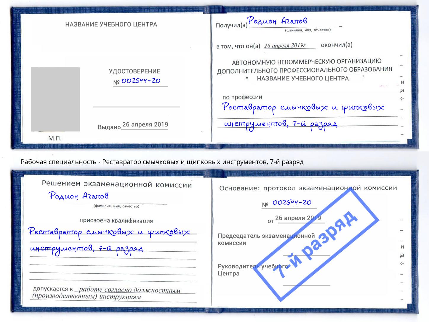 корочка 7-й разряд Реставратор смычковых и щипковых инструментов Феодосия